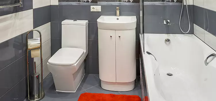 Hansgrohe Shaving Mirror Russellville